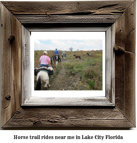 horse trail rides near me in Lake City, Florida